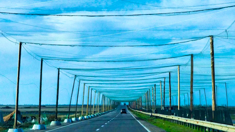 ARCHIVE - Cars drive on a road covered with an anti-drone net near the frontline town in southern Ukraine. Photo: Efrem Lukatsky/AP/dpa