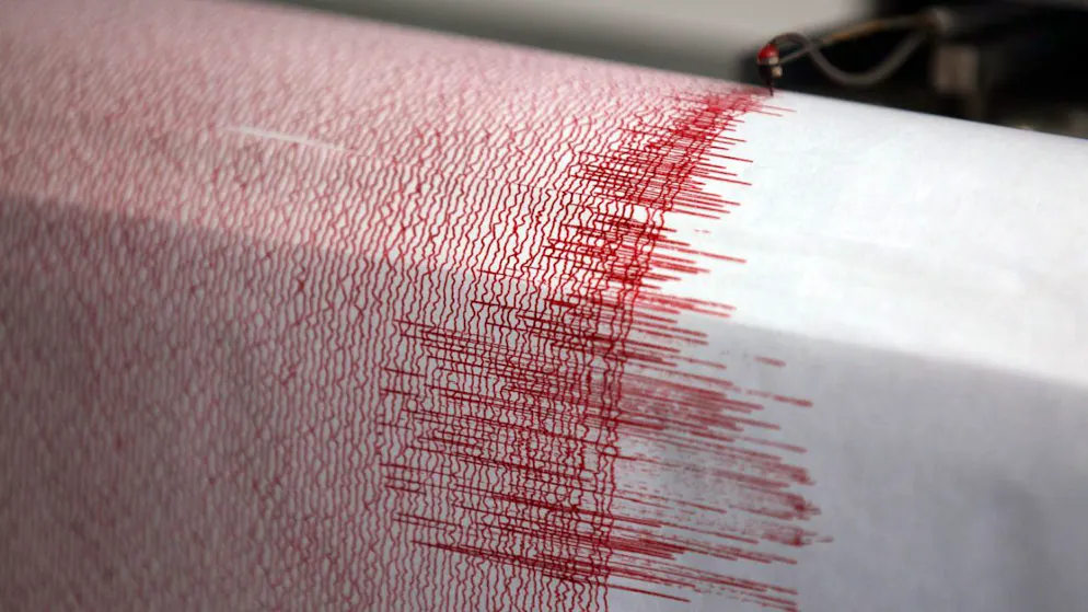 ARCHIV – Der Seismograph einer Erdbebenwarte verzeichnet Ausschläge. Foto: Oliver Berg/dpa