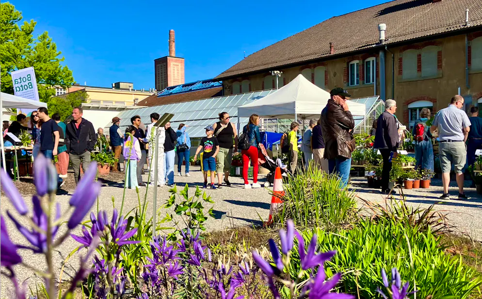 Le marché aux plantons rares de Fribourg.