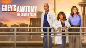 Meredith Grey, Miranda Bailey und Richard Webber vor der Skyline von Seattle bei Sonnenuntergang.