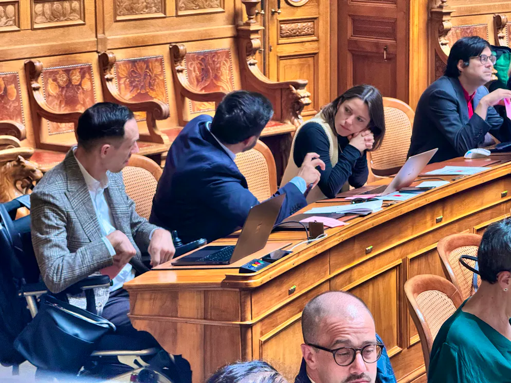 Mattea Meyer has not been in the National Council chamber since December 2025.