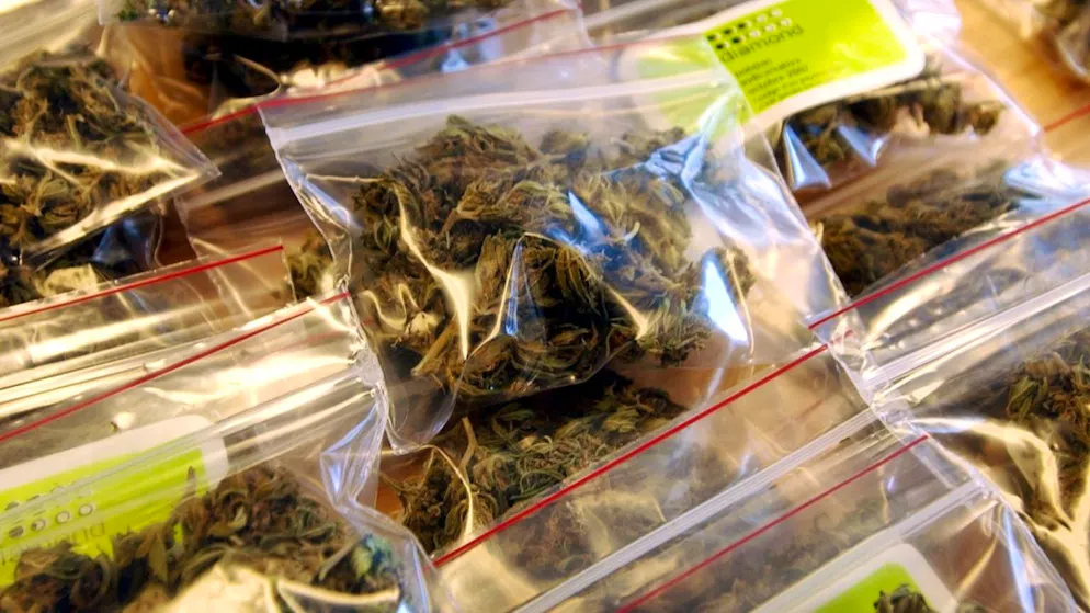 La police vaudoise a eu affaire à un jeune cambrioleur la semaine dernière qui a dérobé plus de cinq kilos de cannabis dans un appartement à Corsier-sur-Vevey (archives).