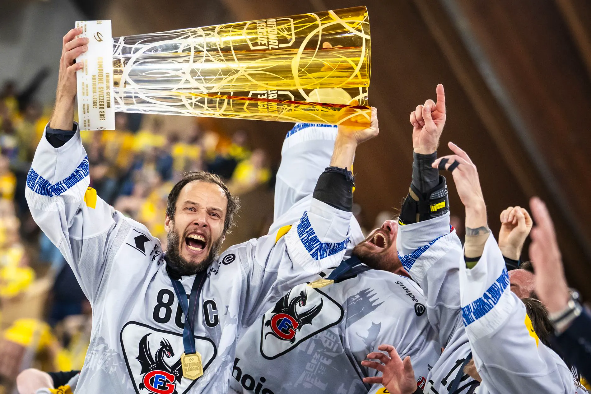 Fribourg Gotteron : ce qu'il faut savoir — image 2