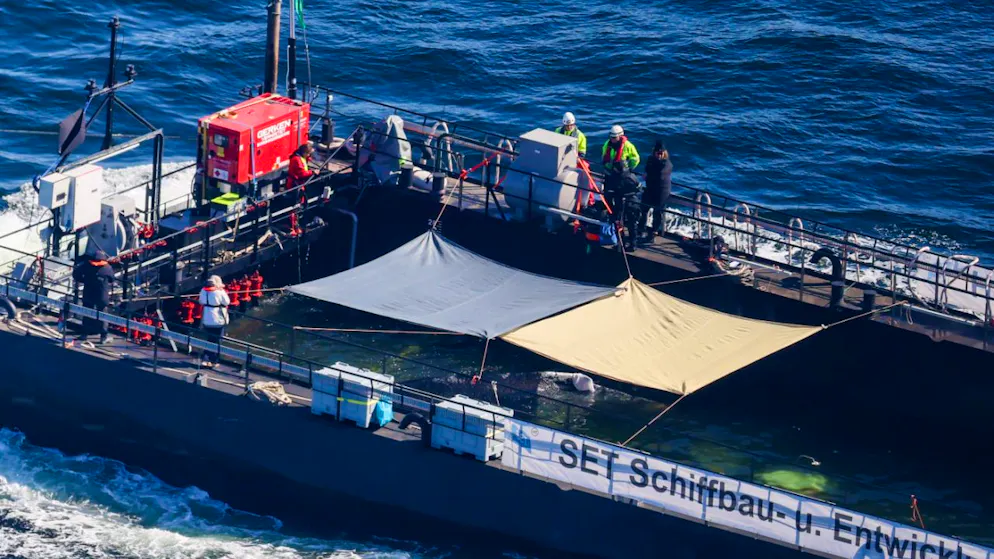 Der Buckelwal wird in seiner Barge vom Schlepper Fortuna B entlang der dänischen Küste in Höhe Aarhus in Richtung Nordsee durch die Ostsee gezogen, die Robin Hood begleitet den Konvoi weiterhin.(Luftaufnahme aus Flugzeug) Foto: Christoph Reichwein/dpa