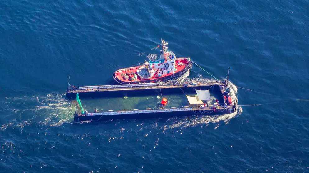 Das Transportschiff mit dem Walist aktuell wieder in nördlicher Richtung unterwegs.