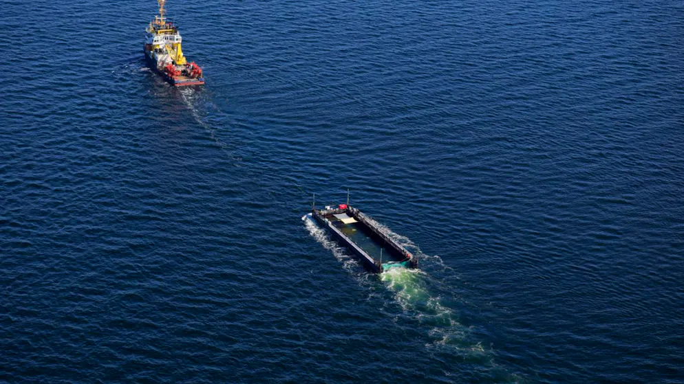 Der Buckelwal wird in seiner Barge vom Schlepper Fortuna B entlang der dänischen Küste in Höhe Aarhus in Richtung Nordsee durch die Ostsee gezogen, die Robin Hood begleitet den Konvoi weiterhin.