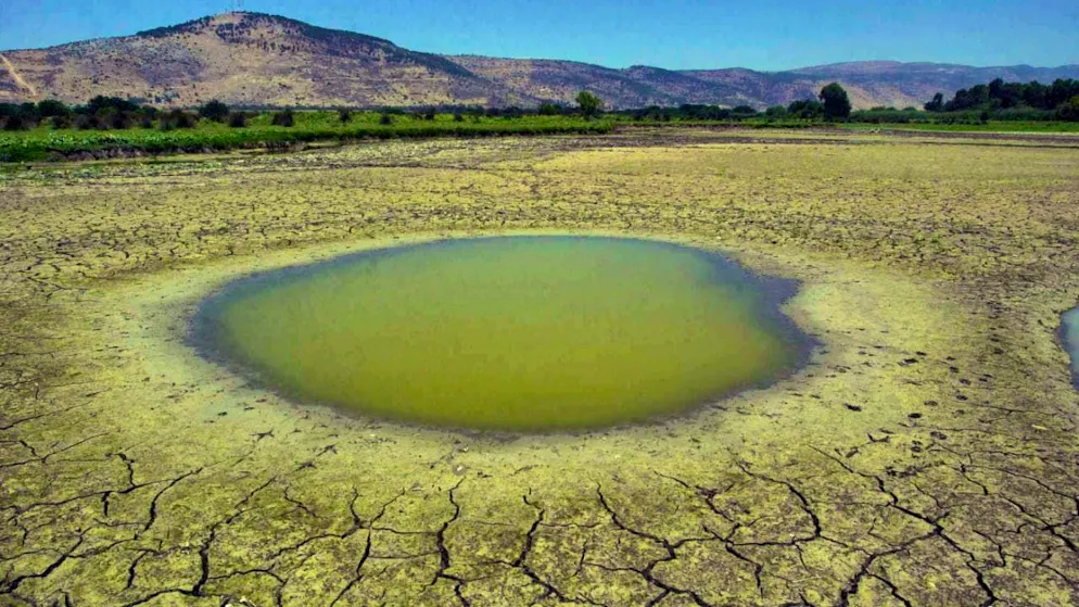 Young people are less concerned about climate change - even though Europe is increasingly being hit by heatwaves, droughts and forest fires. (symbolic image)