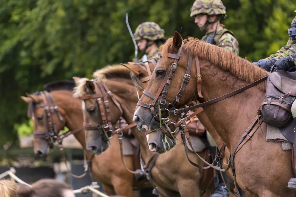 L'Esercito si affida al Centro nazionale di equitazione di Berna per la cura dei suoi cavalli
