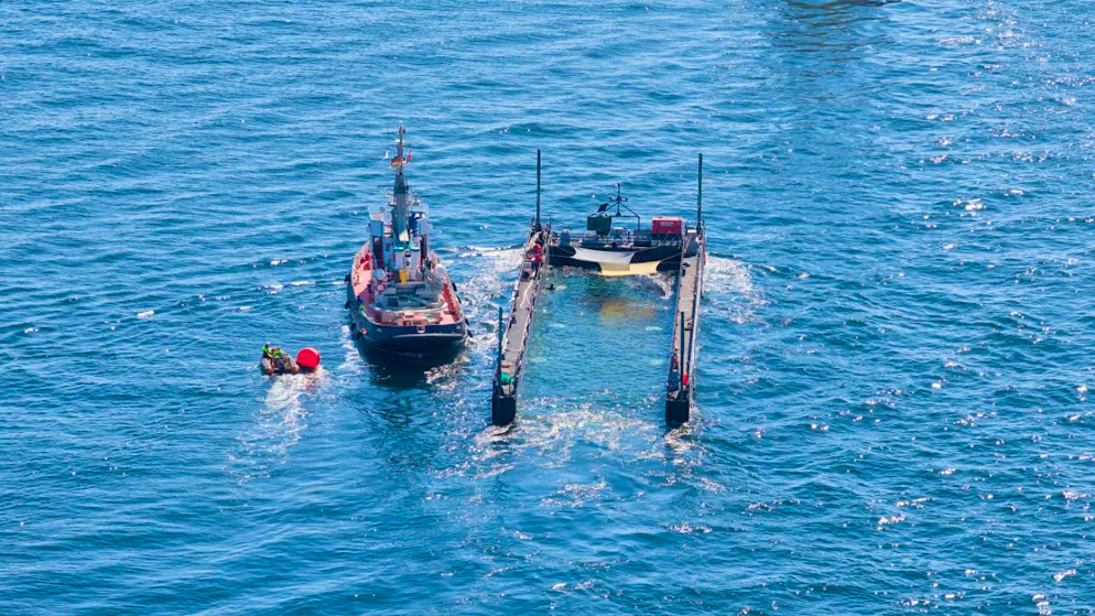 dpatopbilder – Das Schutznetz an der Barge, das den Buckelwal bei seinem Transport aus der Ostsee bislang vom offenen Wasser trennte, ist entfernt worden. Gleichzeitig wurde der Lastkahn sichtbar weiter geflutet. Foto: News5/Sebastian Peters/NEWS5/dpa