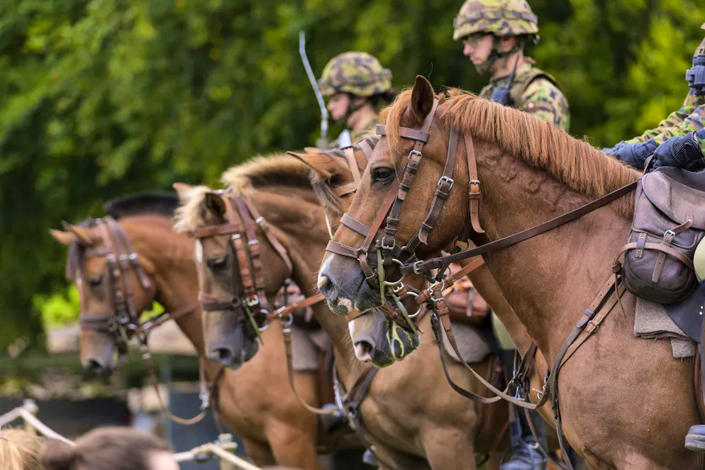 L'armée s'appuie sur le Centre équestre national de Berne pour s'occuper de ses chevaux