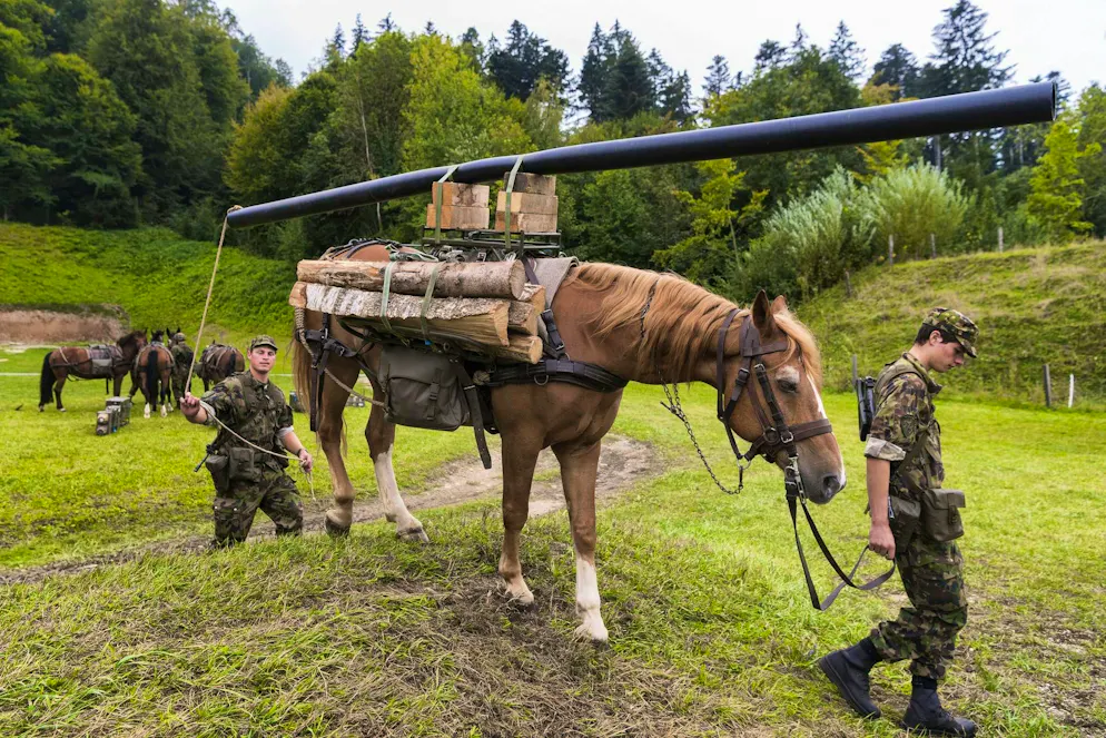 Plusieurs chevaux sont encore utilisés pour le transport.