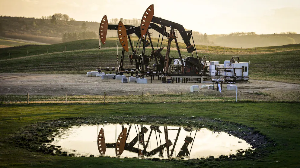 Confiants. Au coeur du Canada pétrolier, les séparatistes rêvent de référendum