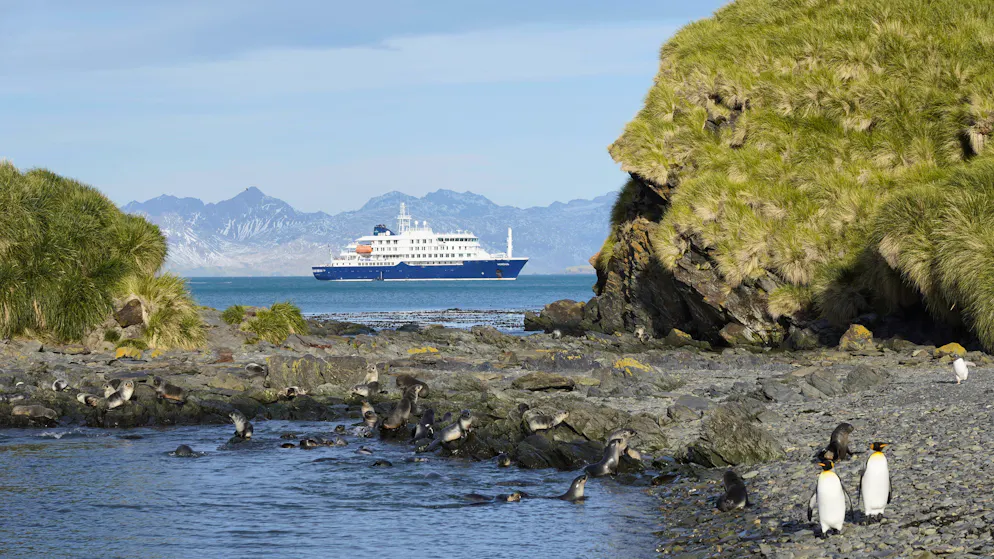 Das Polarkreuzfahrtschiff Hondius, auf dem drei Menschen nach einem Hantavirus-Ausbruch gestorben sind, im britischen Überseegebiet Südgeorgien. (Archivbild)