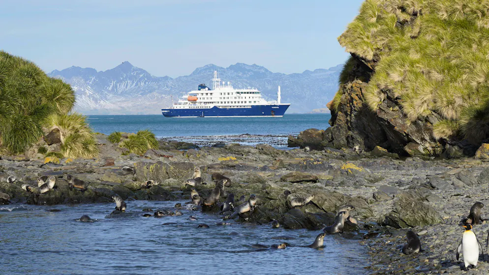 Tödliche Atemwegsinfektion. Drei Tote nach Hantavirus-Ausbruch auf Kreuzfahrtschiff im Atlantik