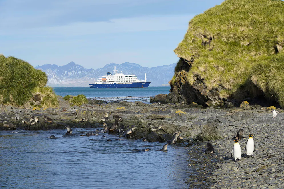 Die MS Hondius liegt derzeit vor Kap Verde vor Anker. 
