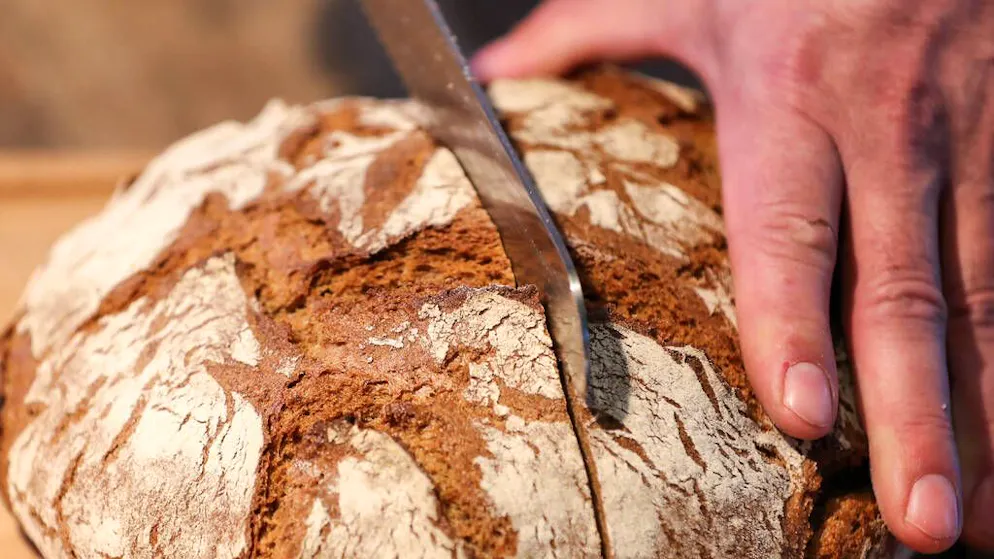 Alimentazione. «Cereali antichi», ecco perché il termine può trarre in inganno