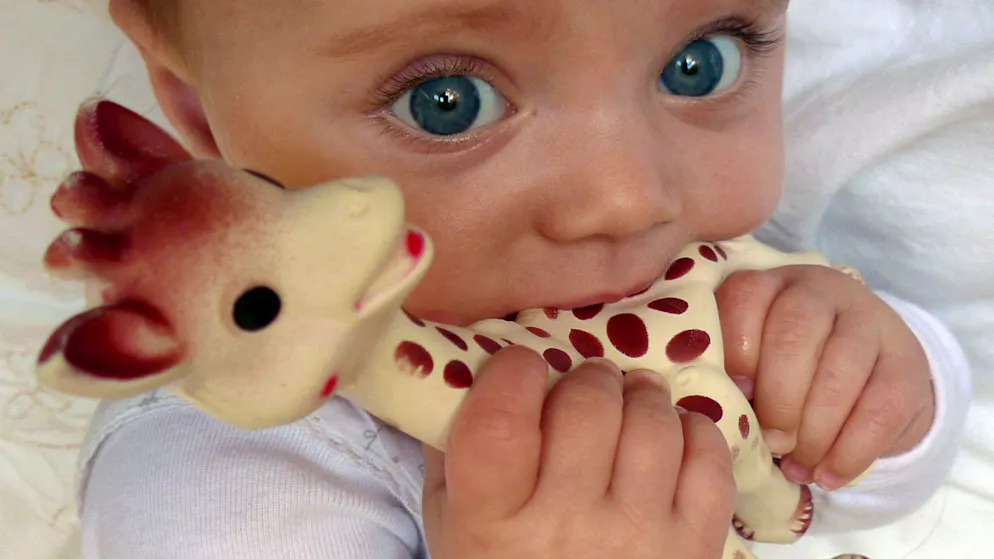 «Made in France», vraiment ?. Jouet star des bébés, Sophie la girafe au cœur d'une polémique !