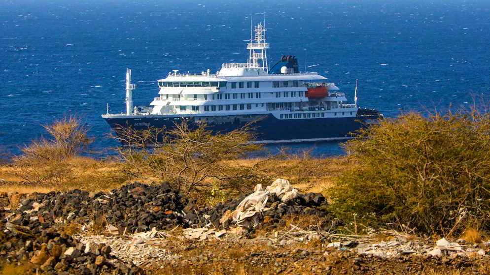 Drei Passagiere gestorben. Hantavirus-Ausbruch auf Kreuzfahrtschiff: Was wir wissen und was nicht