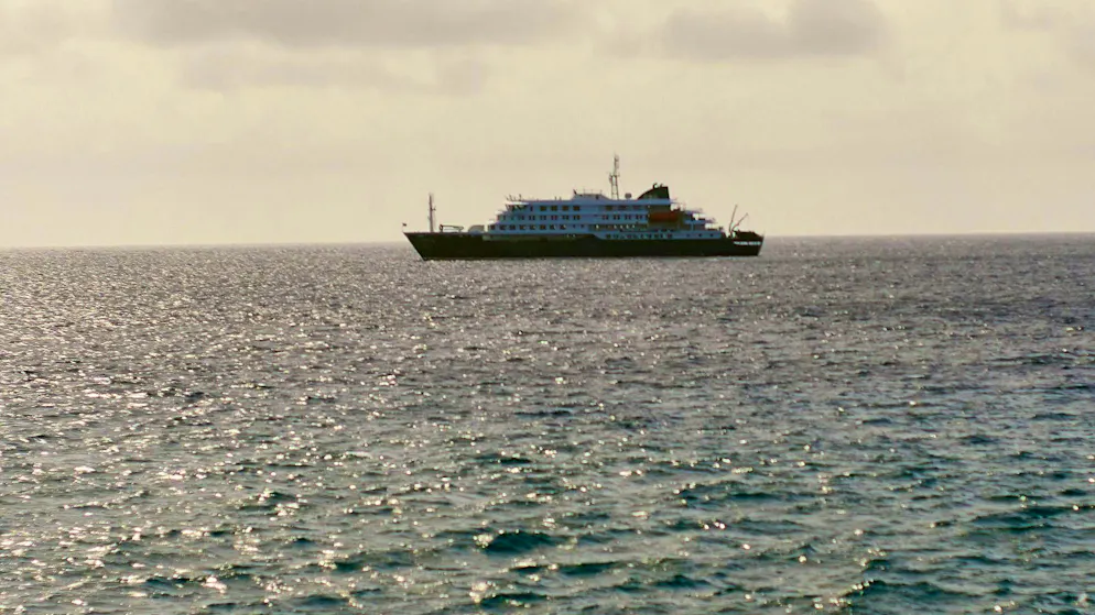Hantavirus: Ship passengers cannot disembark for the time being - Gallery. Hantavirus has been detected in two people. There are also other suspected cases of hantavirus on board.