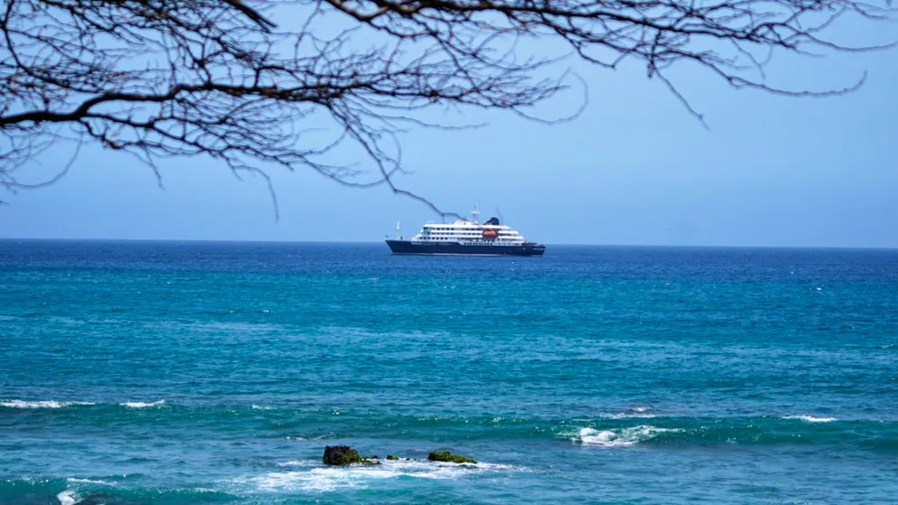 Croisière mortelle. OMS: deux cas confirmés et cinq suspectés d'hantavirus, trois décès