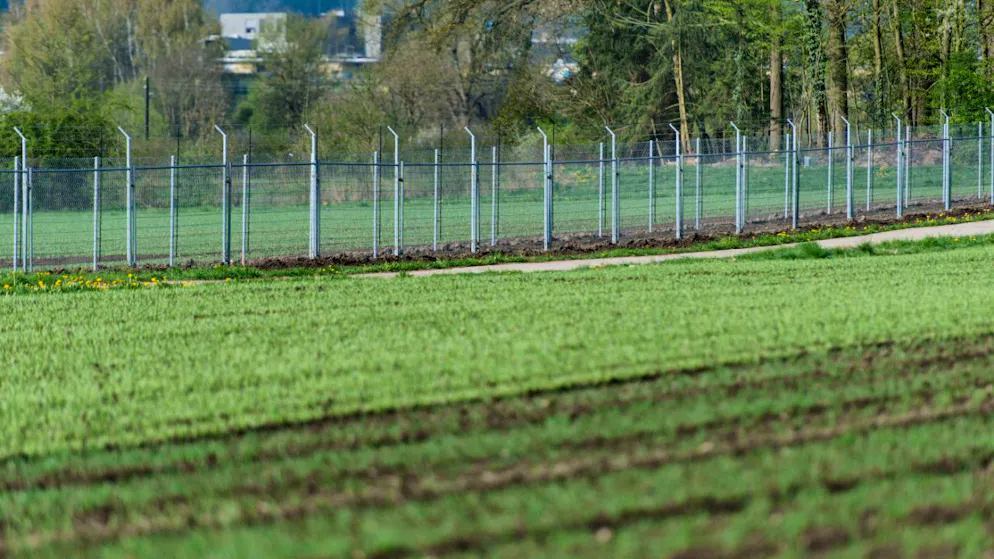 Das Versuchsfeld in Reckenholz ZH , wo die genveränderten Kartoffeln freigesetzt werden, ist umzäunt und wird bewacht. (Archivbild)