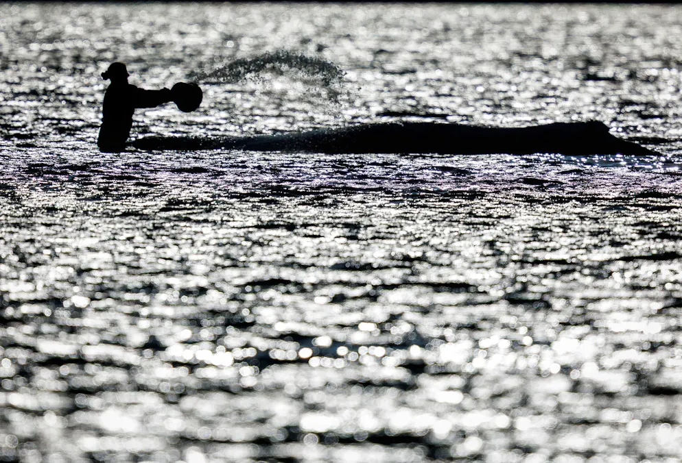 Timmy, ein Rettungsmärchen – Was bleibt vom Wal-Trubel? – Gallery. Daten zum Verbleib des Wals fehlen vorerst – was bleibt vom Trubel um den Wal?