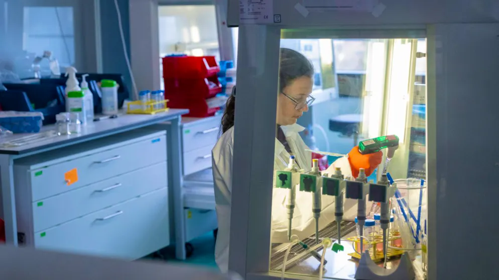 Roche übernimmt PathAI: Mit künstlicher Intelligenz werden pathologische Bilder analysiert und ausgewertet. (Symbolbild)