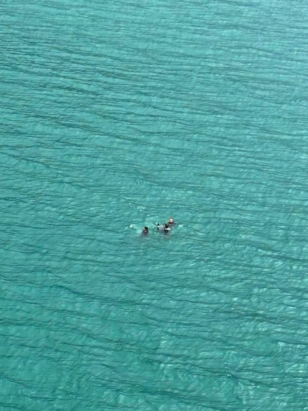 Spectaculaire sauvetage de la Rega sur le lac de Thoune. Les trois personnes qui se trouvaient encore à bord du bateau peu de temps auparavant flottent dans le lac de Thoune.