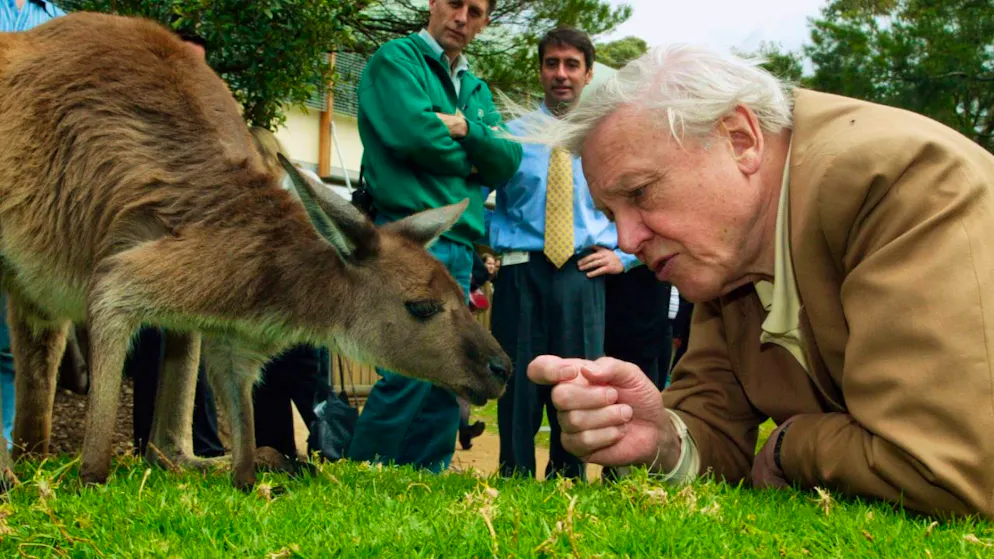 Un concerto in suo onore. Sir David Attenborough compie 100 anni, con gli auguri di re Carlo e Keir Starmer