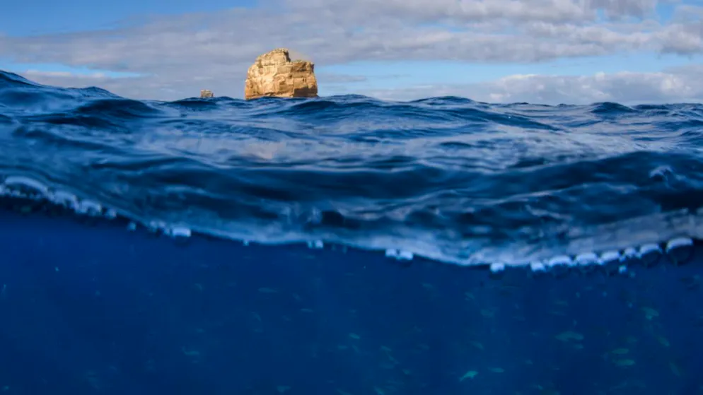 Climat. Océans près des records de chaleur avant même le retour d'El Niño