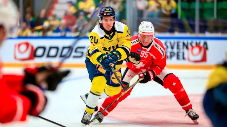 National team: Next defeat against Sweden | blue News