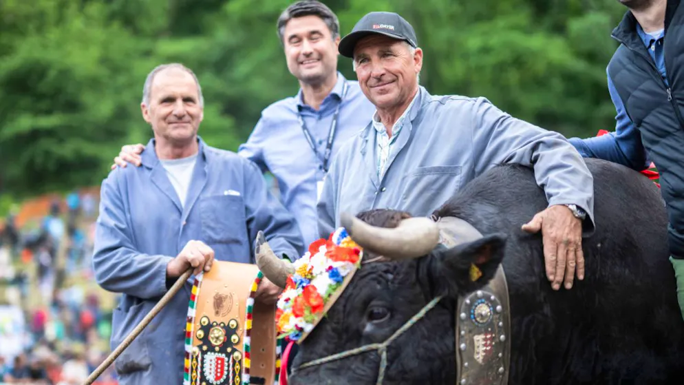 Finale nationale. La favorite Canaille sacrée reine des reines des vaches d'Hérens