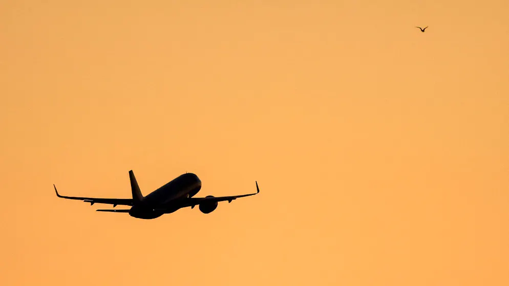 «Obszöner Exhibitionismus». Paar nach Sex im Flugzeug festgenommen