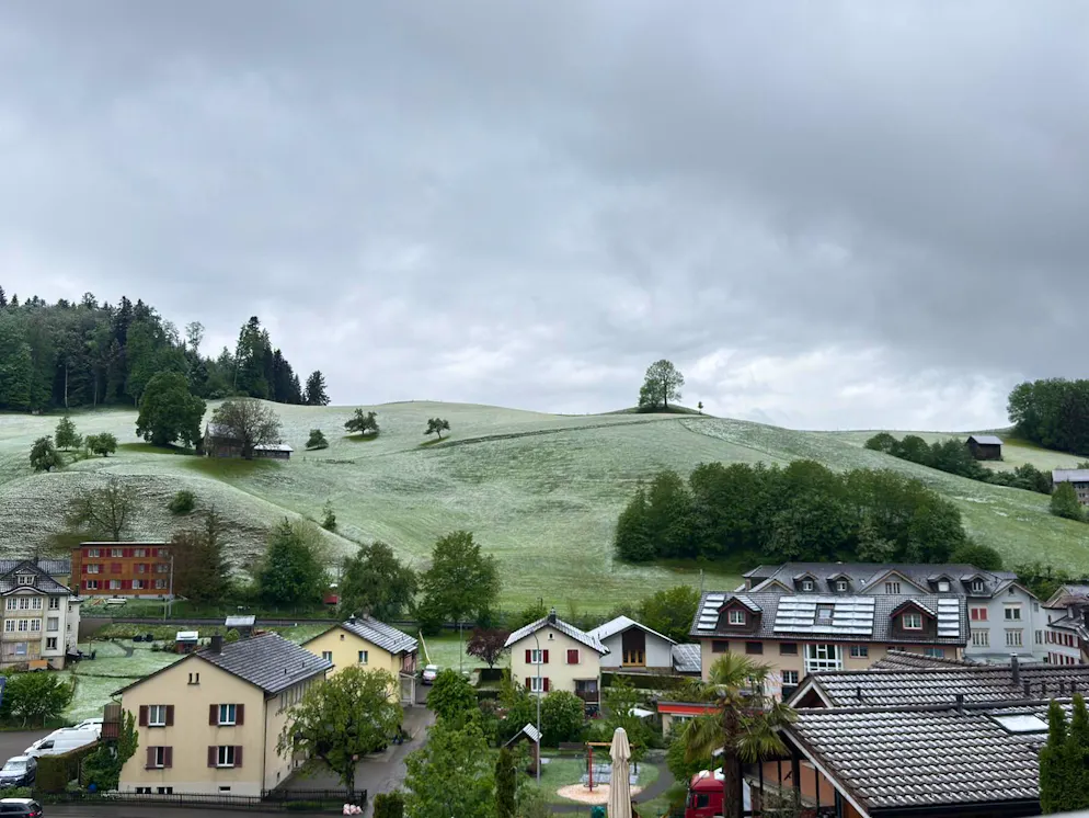 Schnee im Mai. Die Wiesen in Herisau AR waren am Dienstagmorgen von einer zarten Schneeschicht überdeckt.