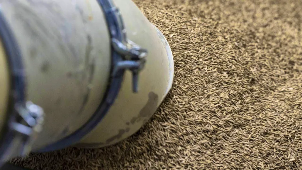 Lower prices in international grain trading had a negative impact on sales. (archive picture)