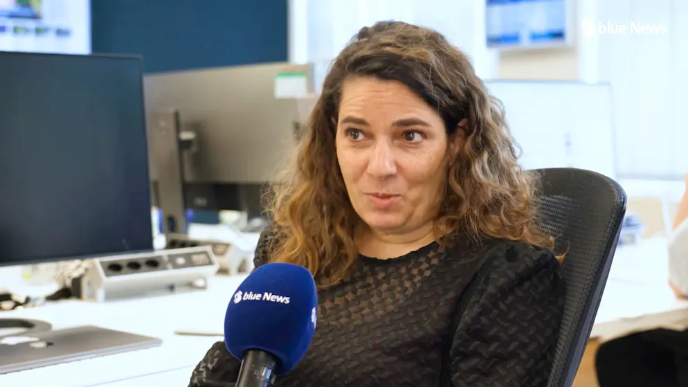 Who has to win the ESC?. Survey in the blue News office: The editors can't get these songs out of their heads