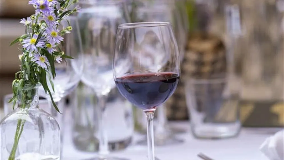 Degustazioni, ma non solo. Cantine Aperte torna in Ticino: oltre 80 cantine aprono le porte