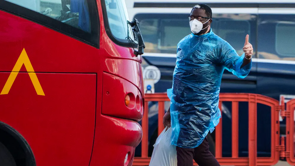 L'agence sanitaire de l'UE rassure. Rien n'indique que la souche Andes d'hantavirus a muté