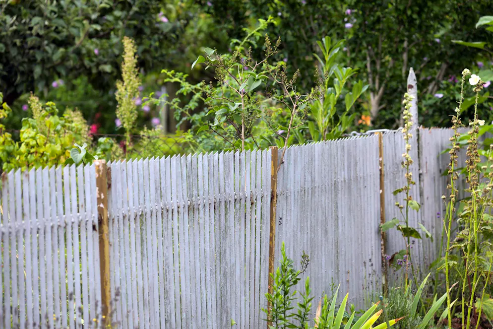 Konflikte am Gartenzaun sind ein häufiger Grund für nachbarschaftliche Streitigkeiten.