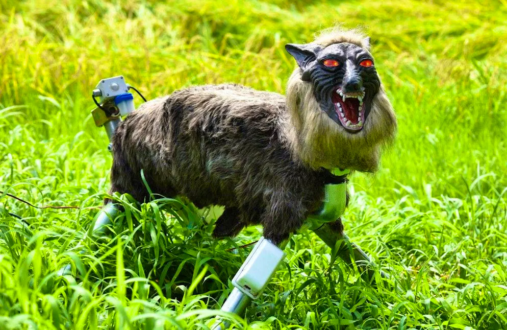A Japanese company that makes scary-looking robot wolves is being inundated with orders after a record number of fatal bear attacks on humans last year.