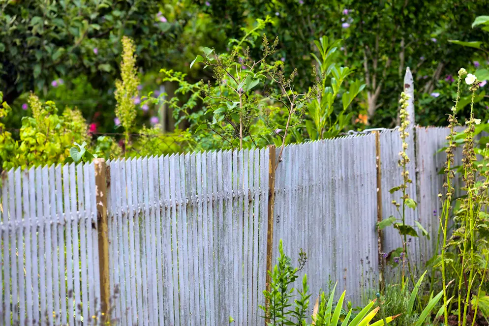 Conflicts at the garden fence are a frequent cause of neighborly disputes.