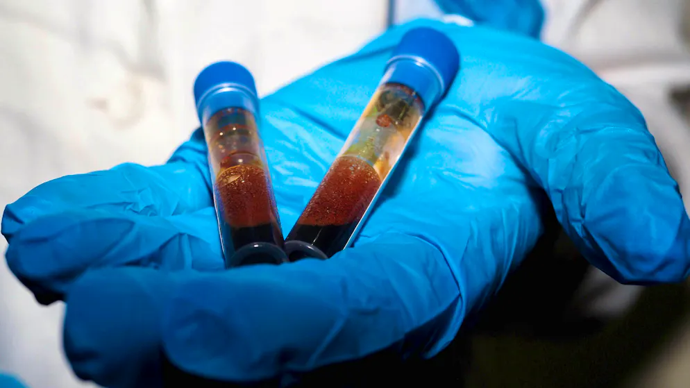 Niente panico. Così gli scienziati intendono informare sull'hantavirus, senza risvegliare il trauma del Covid