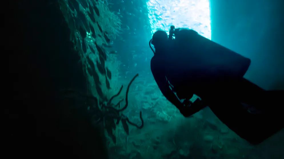 Enquête en cours. Cinq plongeurs italiens meurent dans des grottes sous-marines des Maldives