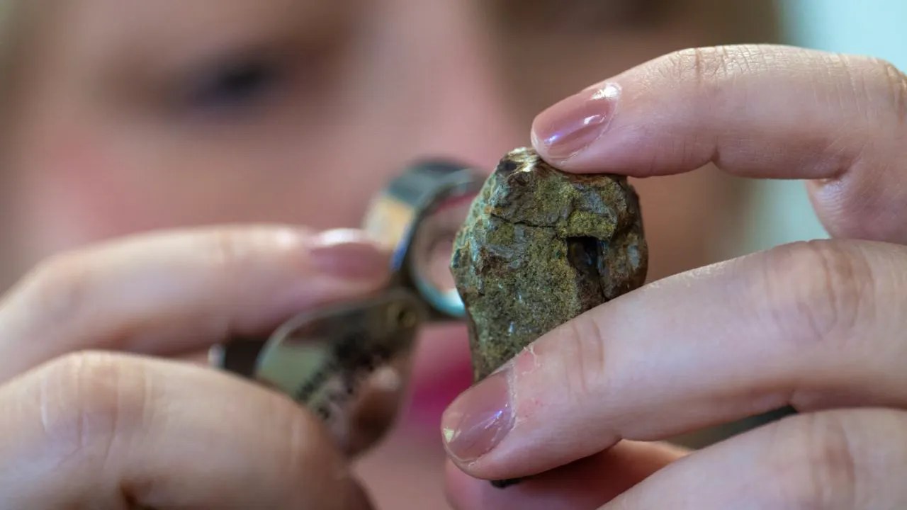 Archäologie. Nach Dinosaurierfund suchen Experten weiter