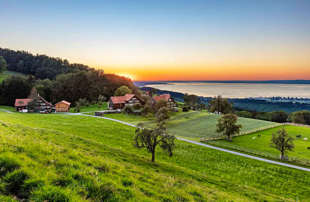 Idées d'excursions CFF été 2026 - Appenzellerland. Vue dégagée sur le «Witzweg». La vue panoramique époustouflante sur le lac de Constance depuis Walzenhausen fait son effet.