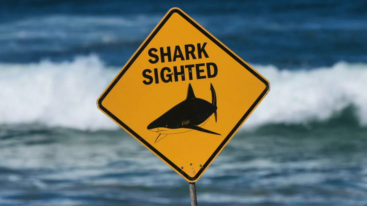 Latest news. Man in Australia killed in suspected shark attack