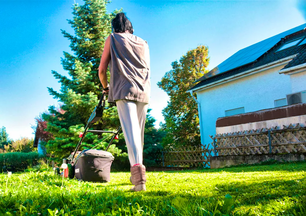 Leaving the mower out in May is good for your lawn.