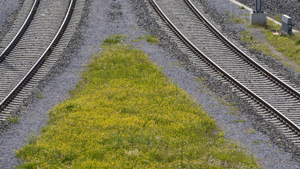 Berne. Un homme se jette sous un train à la gare de Münsingen