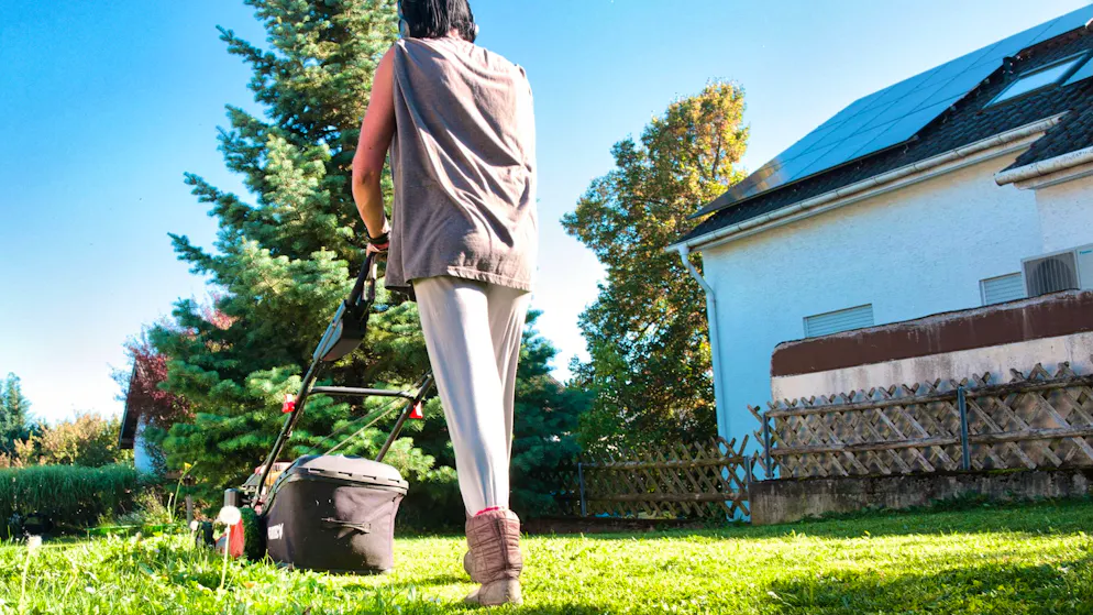 Your garden benefits. Why you shouldn't mow your lawn in May