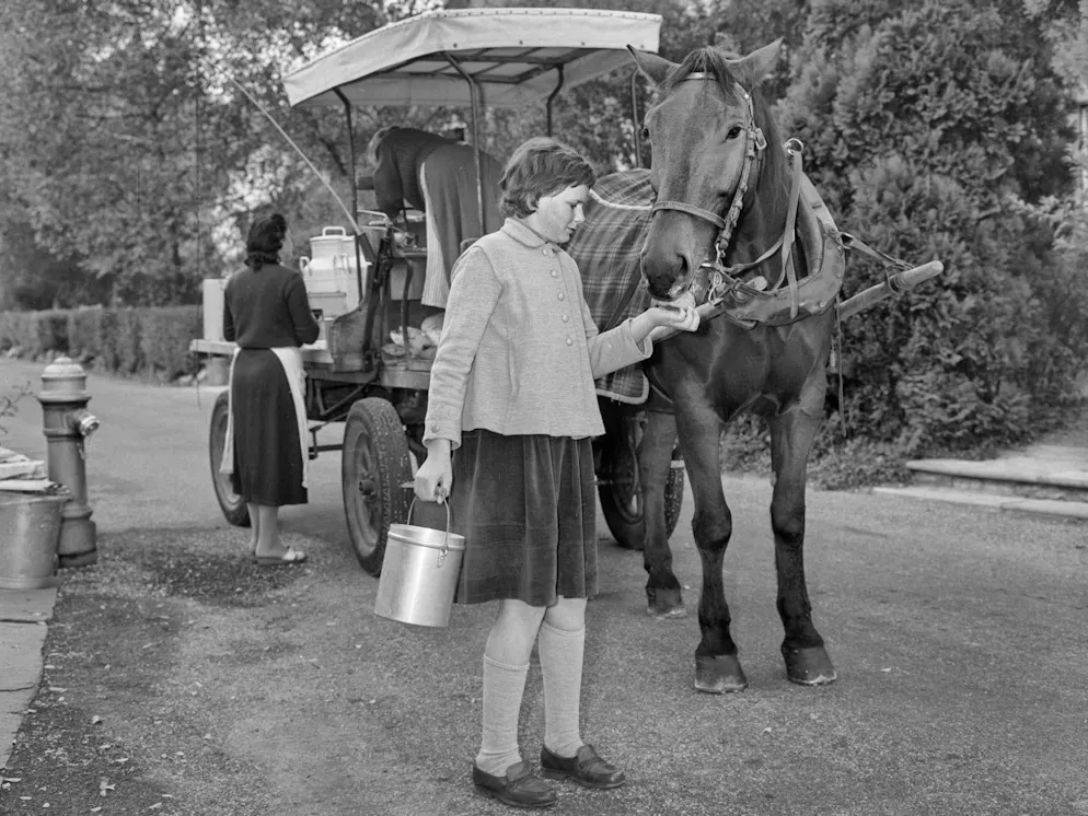 A girl with a milk vat in October 1957